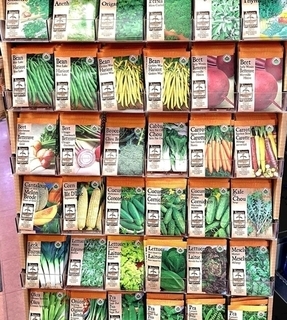 Garden Seeds